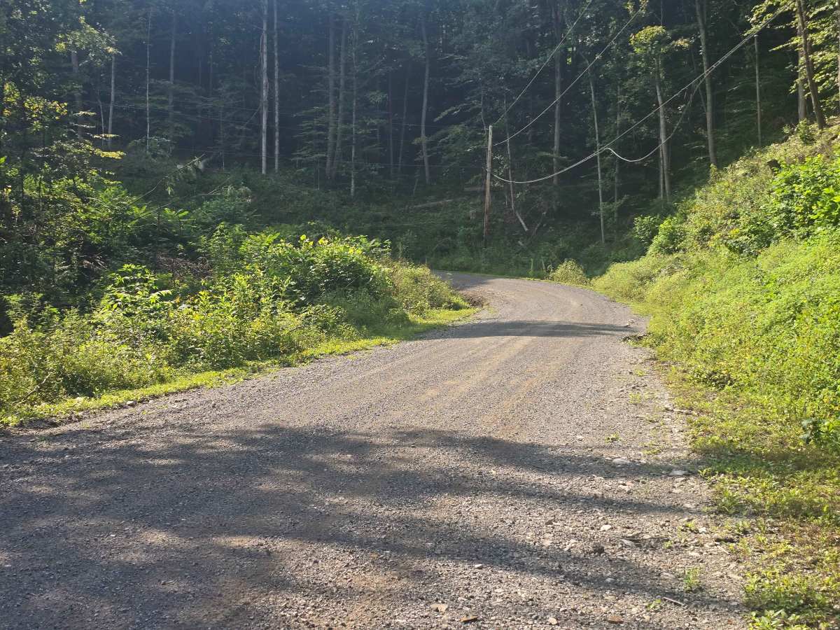 Pine Mountain Road trail photo