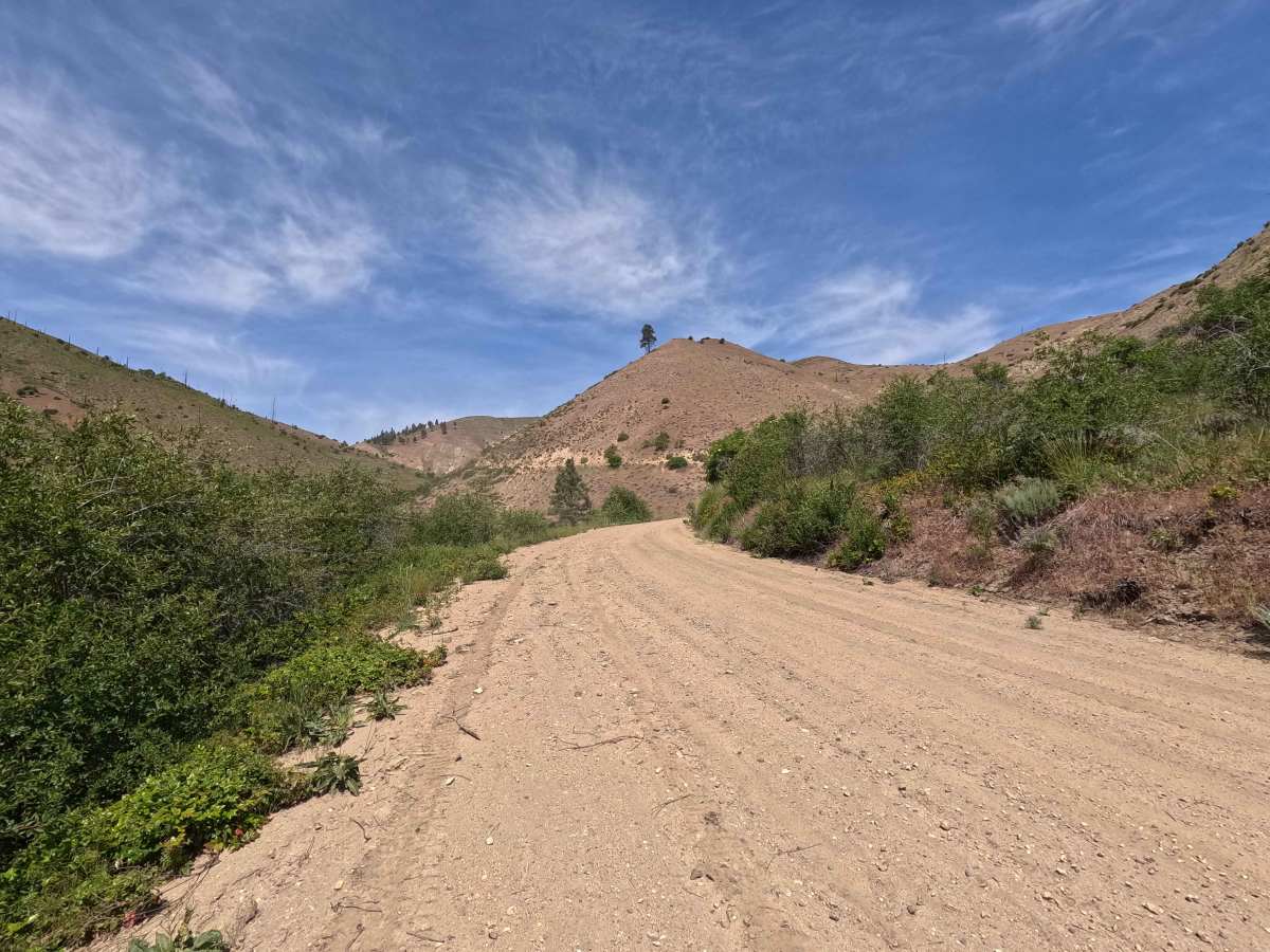 Oklahoma Gulch Road photo 6
