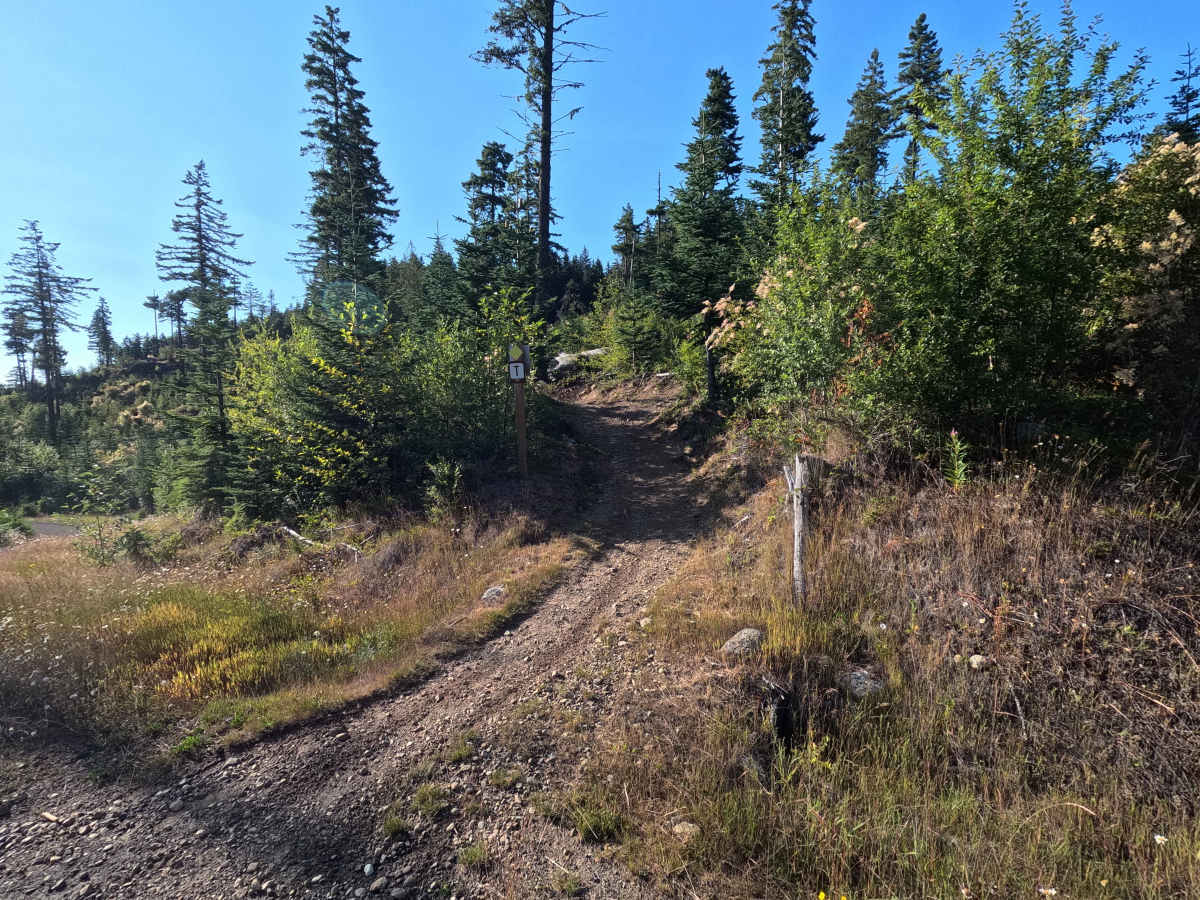 West Bench trail photo