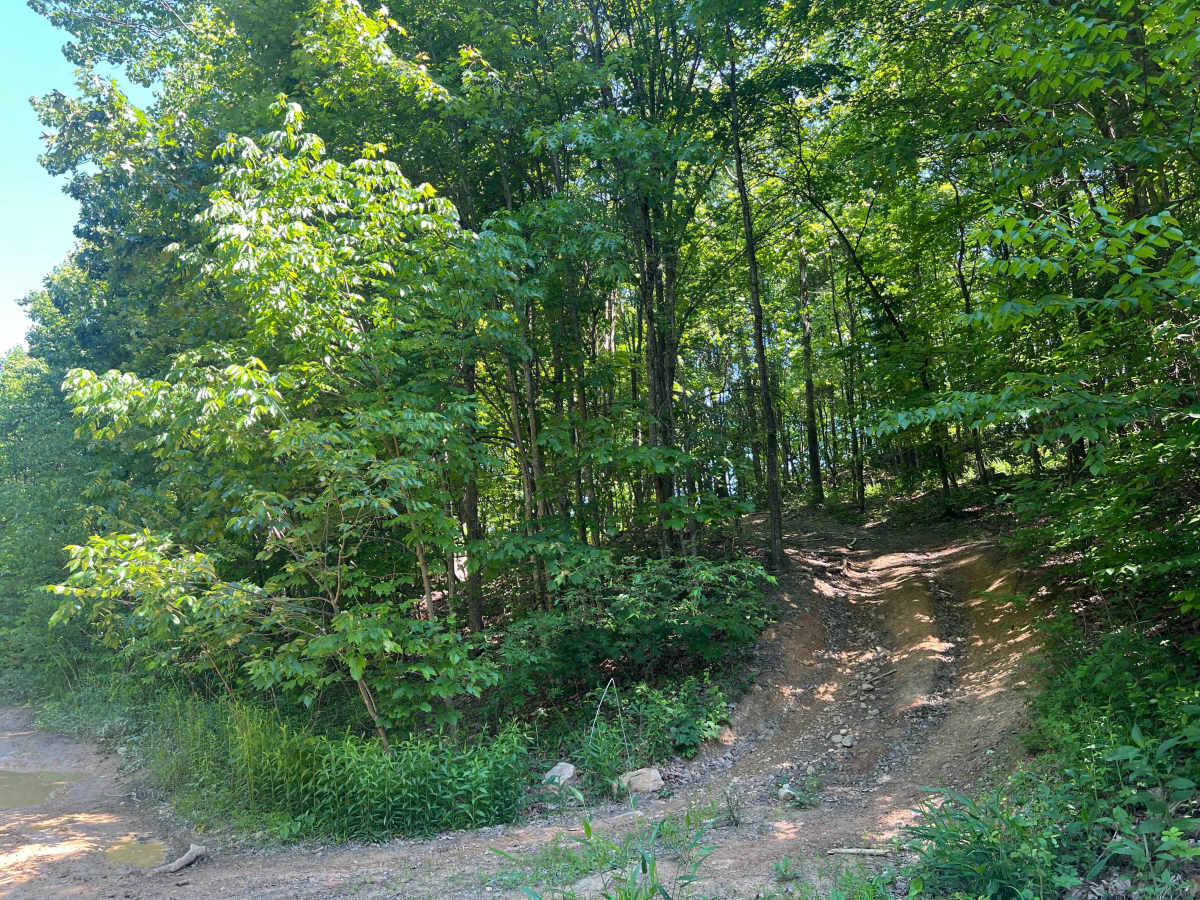 KC16 trail photo