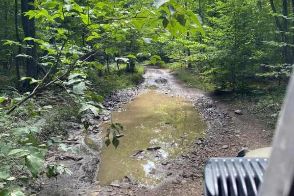Walker Trail