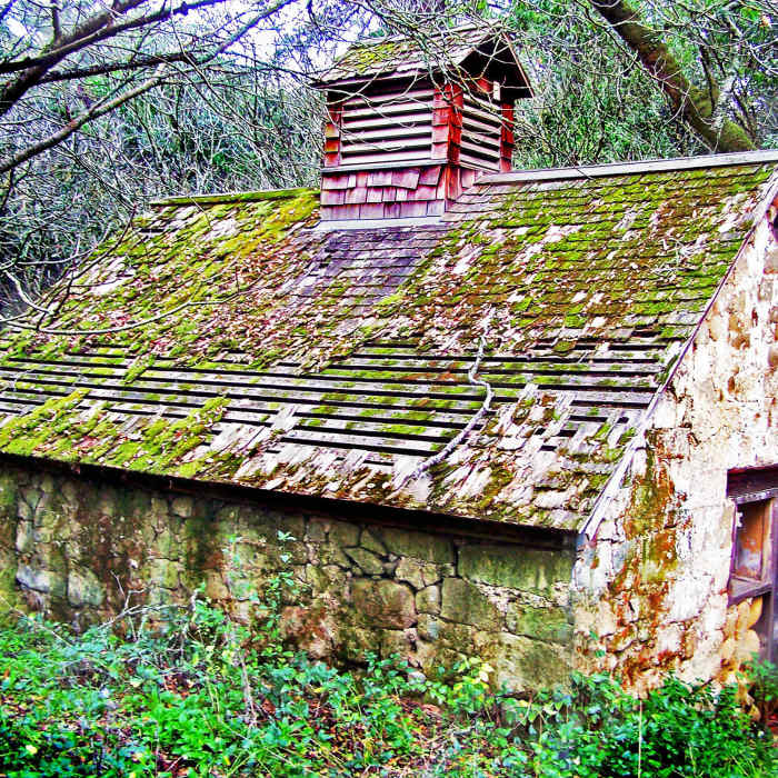 Near Alambique Loop Trail
