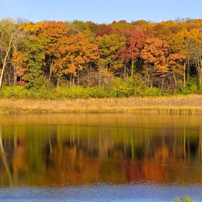 Fall colors illuminate Pond "C" Near Hogback Ridge Trail