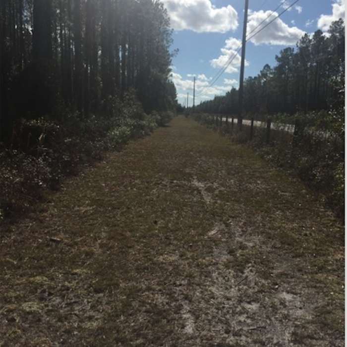A portion of the Spur Trail runs parallel to Nathan Hale Road and offers a great view. Near North Spur Trail Loop