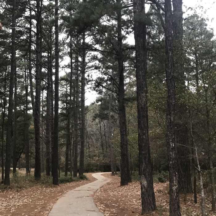 Near Julieanna Park Trail