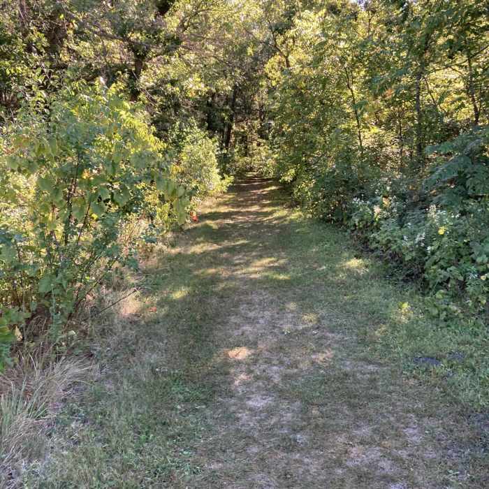 Near Hiking Club Trail