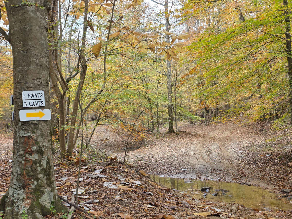 High Point Access trail photo