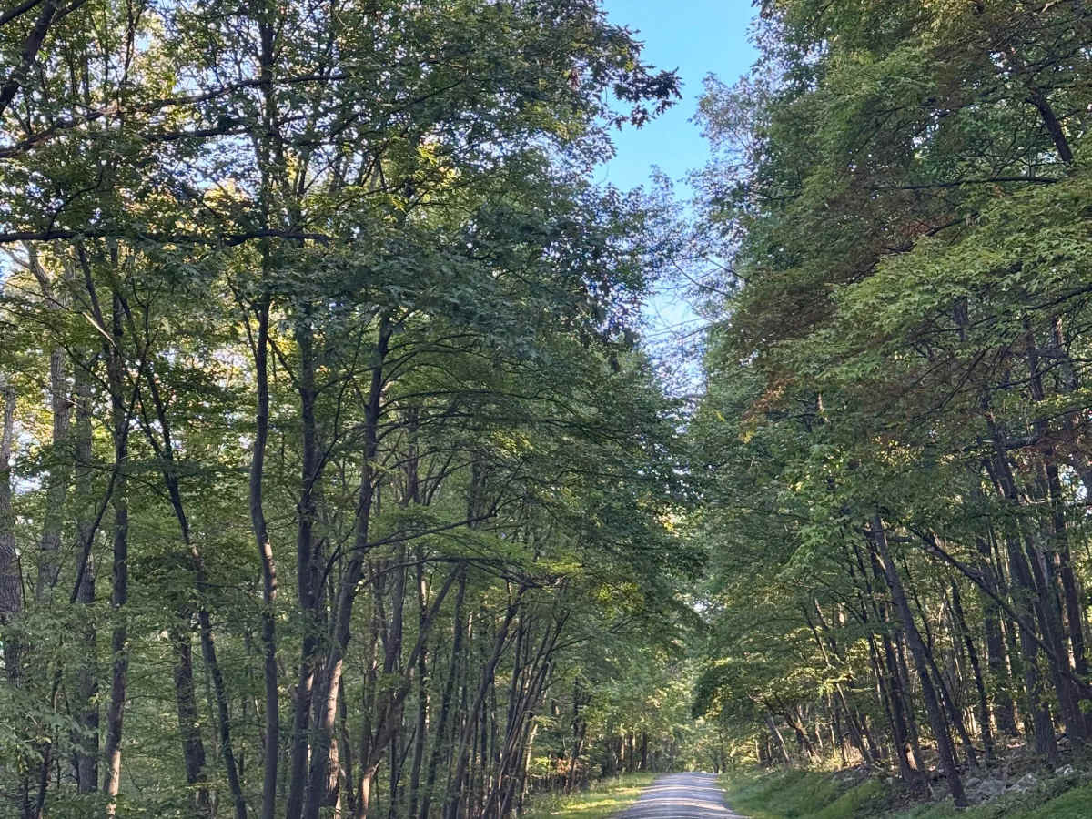 Oregon Road photo 6