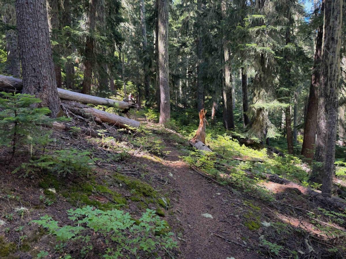 June Lake Trail  photo 3