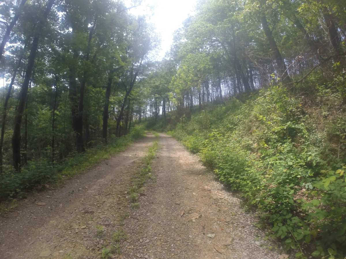 Chestnut Mountain - FS 212 photo 2