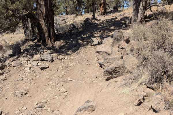 Cline Buttes Off Highway Vehicle Trail 41