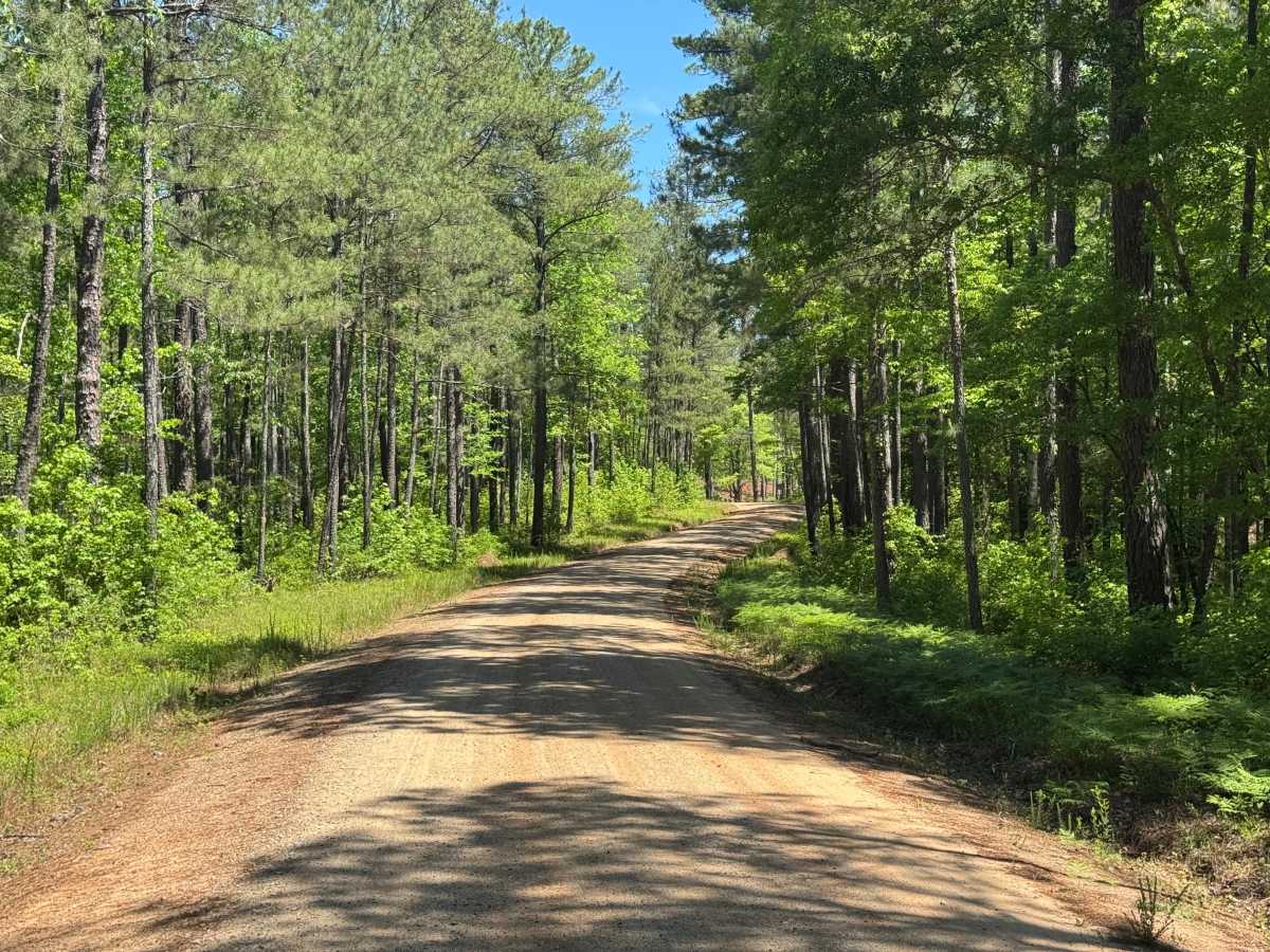 Caney Creek photo 3