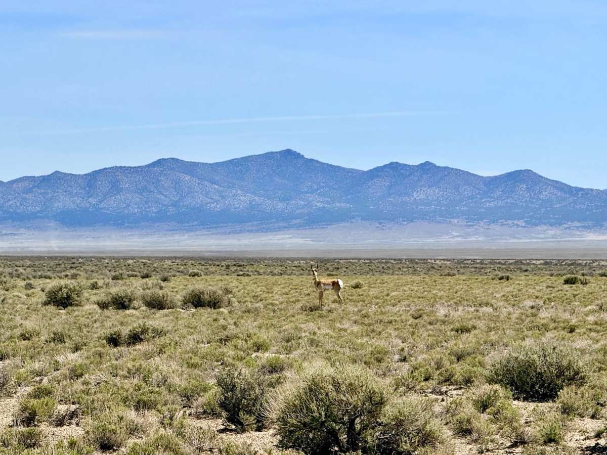 Antelope Valley Connector photo 5