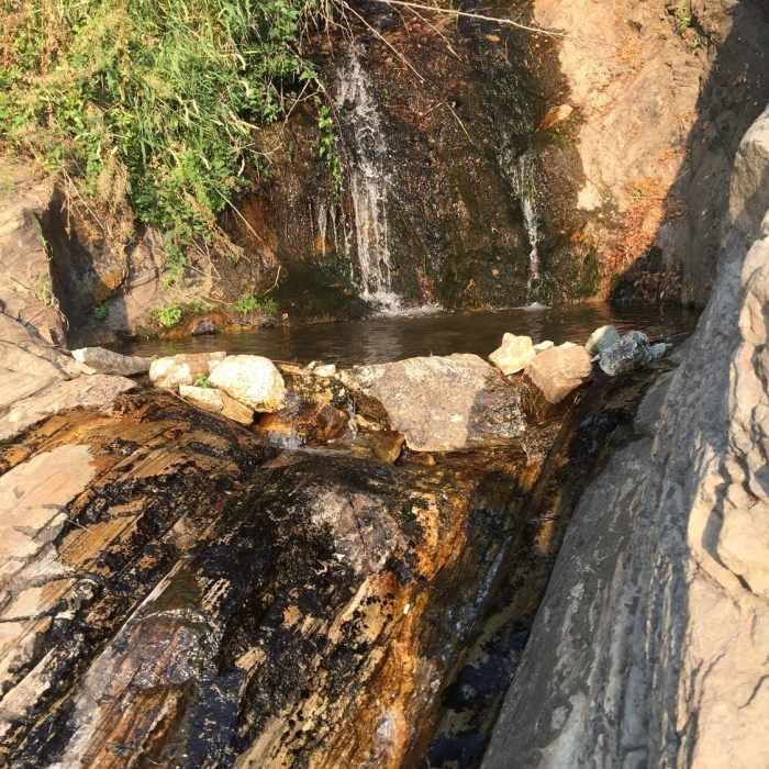 A great place to take a bath. Near Davis Creek