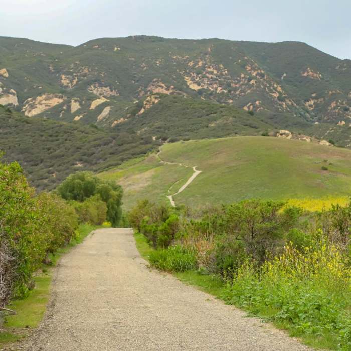 Near Gaviota Pass Overlook