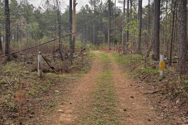 Tackett Mount Summit Trail