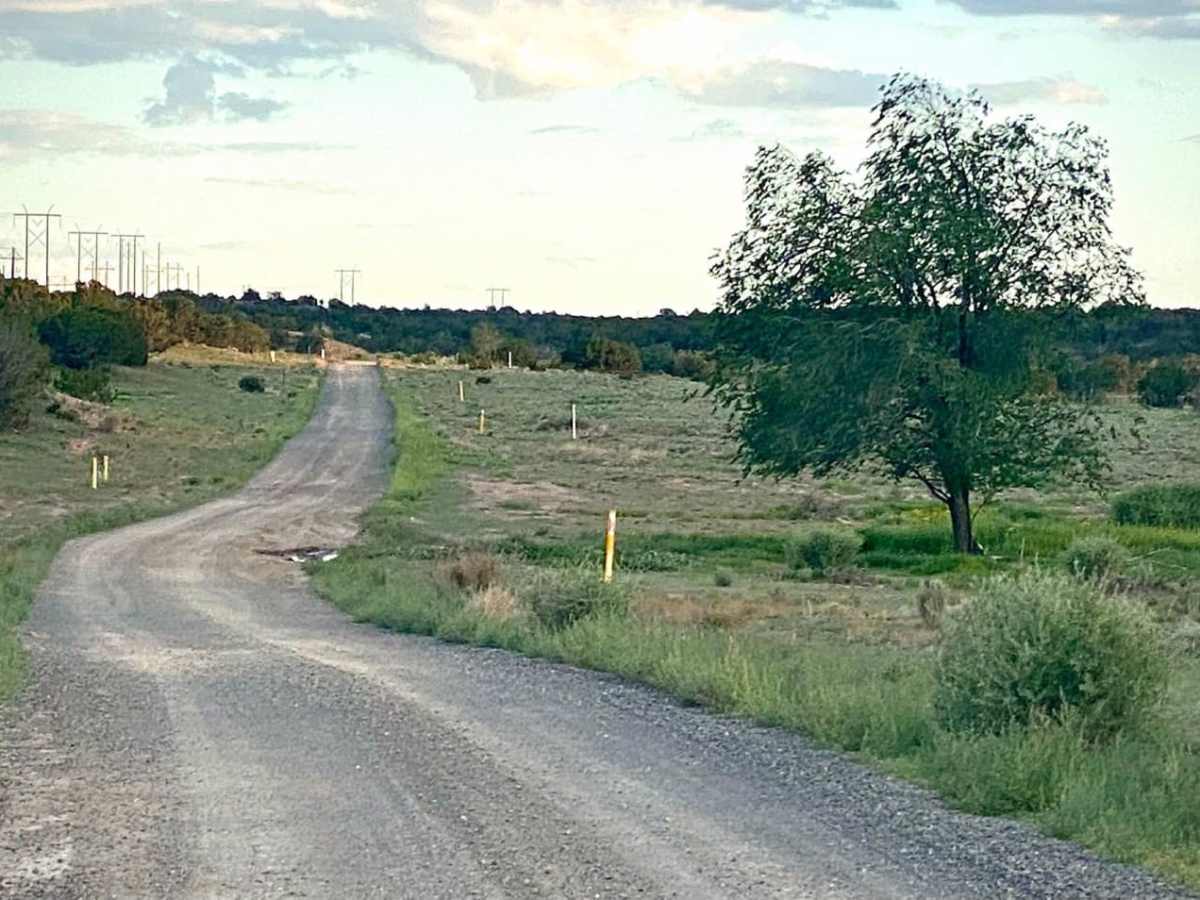 Dead Dog Trail & Santa Fe Ranch trail photo