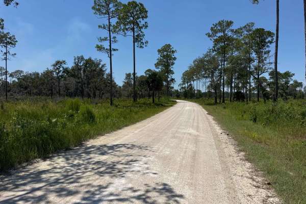Rattlesnake Camp Road