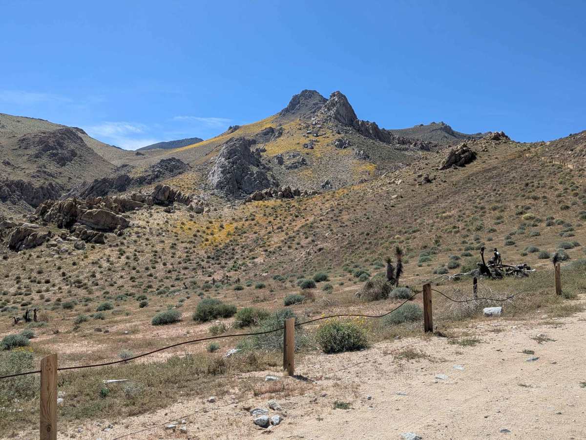 Short Canyon Trailhead - BLM SE139 photo 6