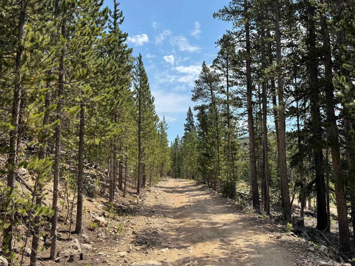 Roaring Creek Road photo 3