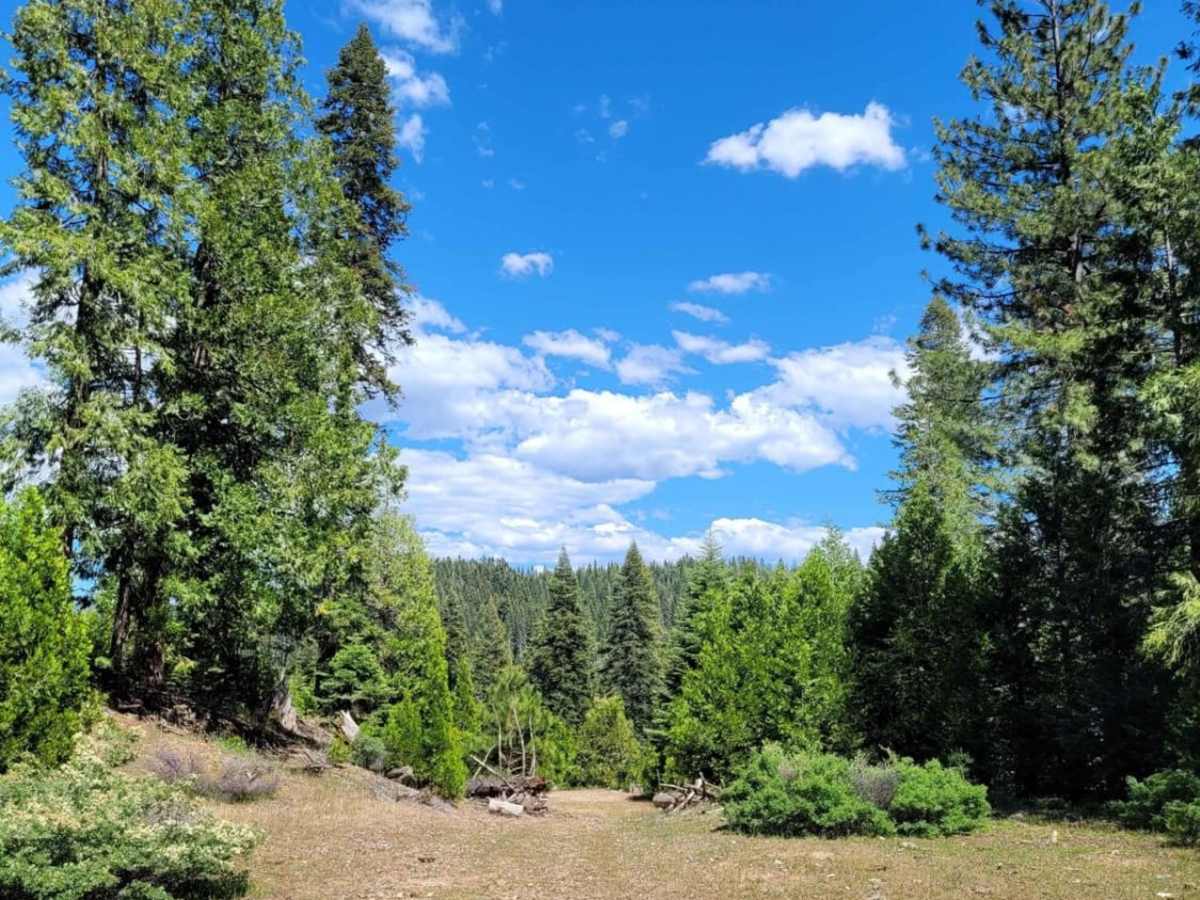 Buck Ranch photo 5