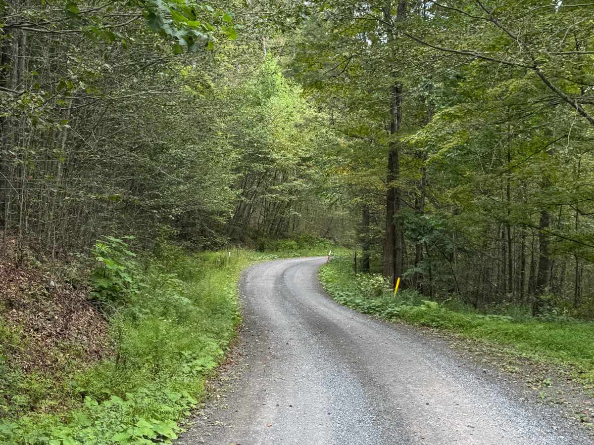 Long Run Road photo 6