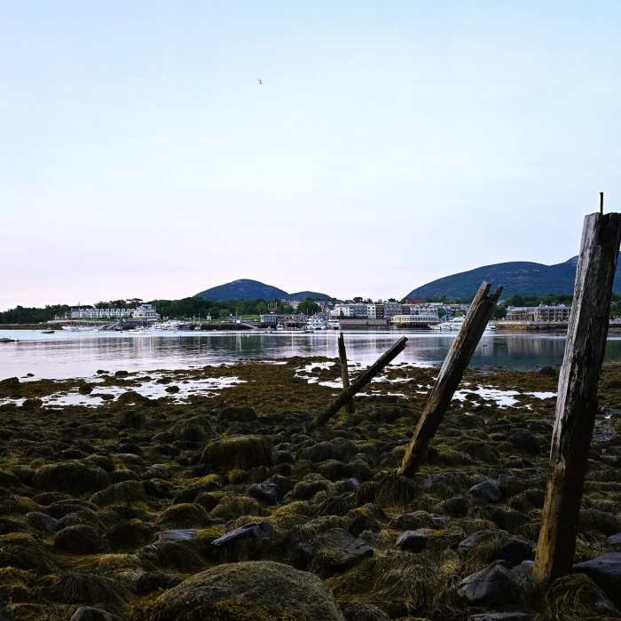 Near Bar Island Trail