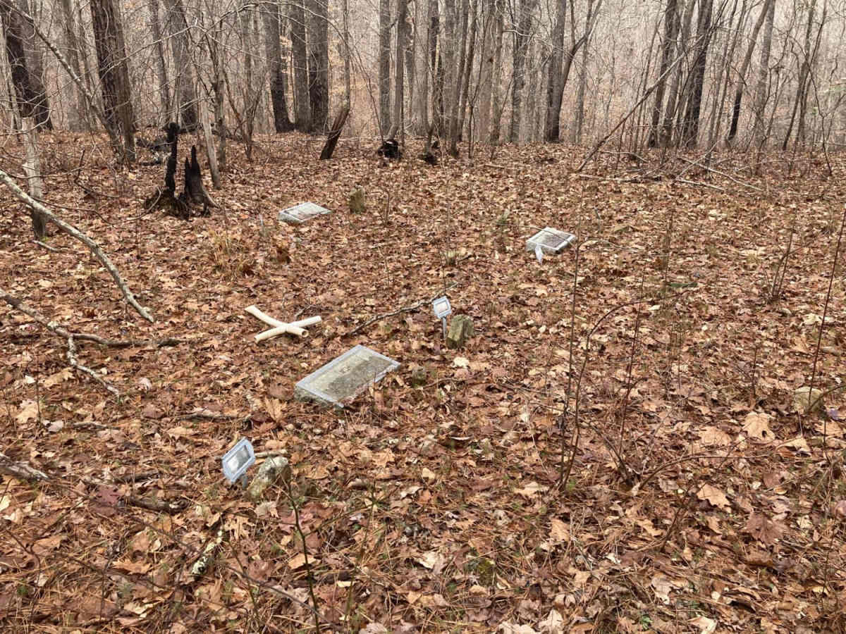 Bankhead Roads trail photo