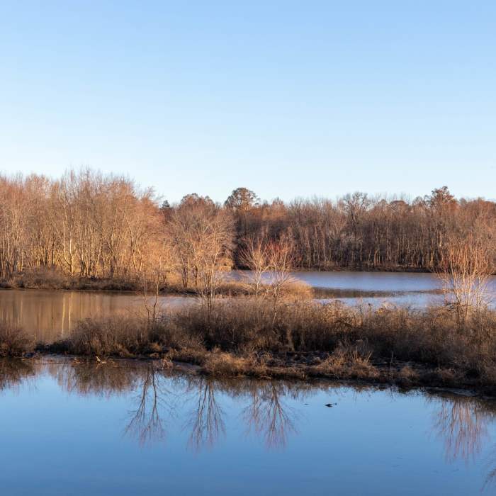 Near Main Trail