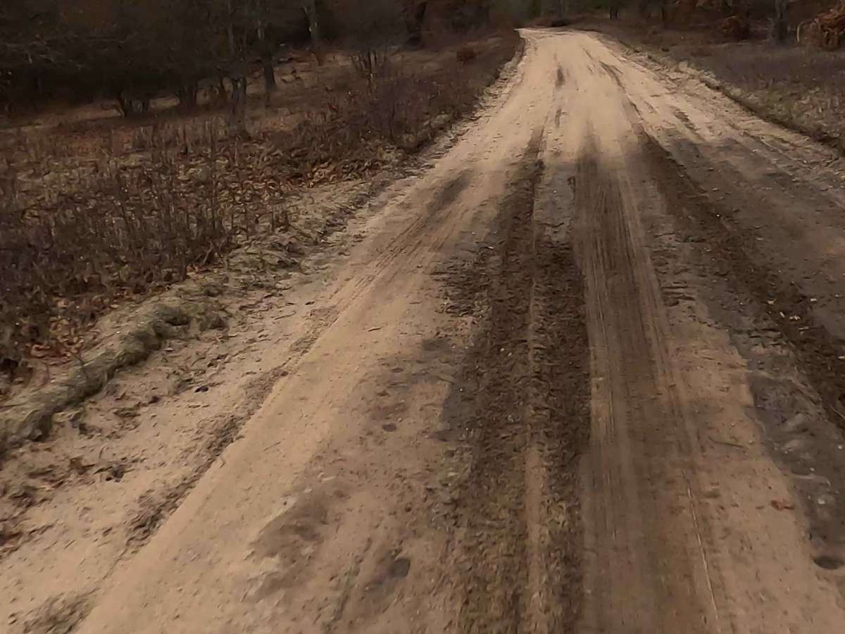 Shear Lake - FS 4883 photo 3