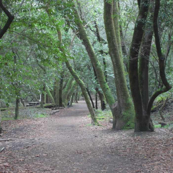 Near Hostel/Grapevine/Creek Trail Loop