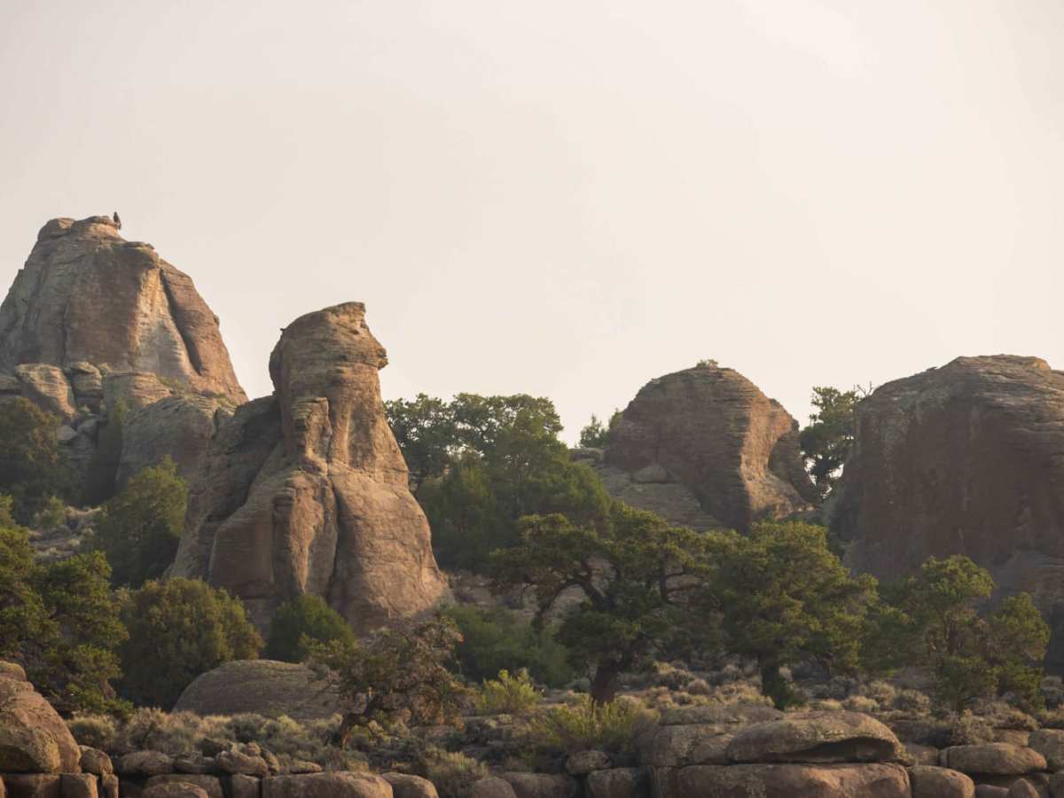 Rock Garden photo 2