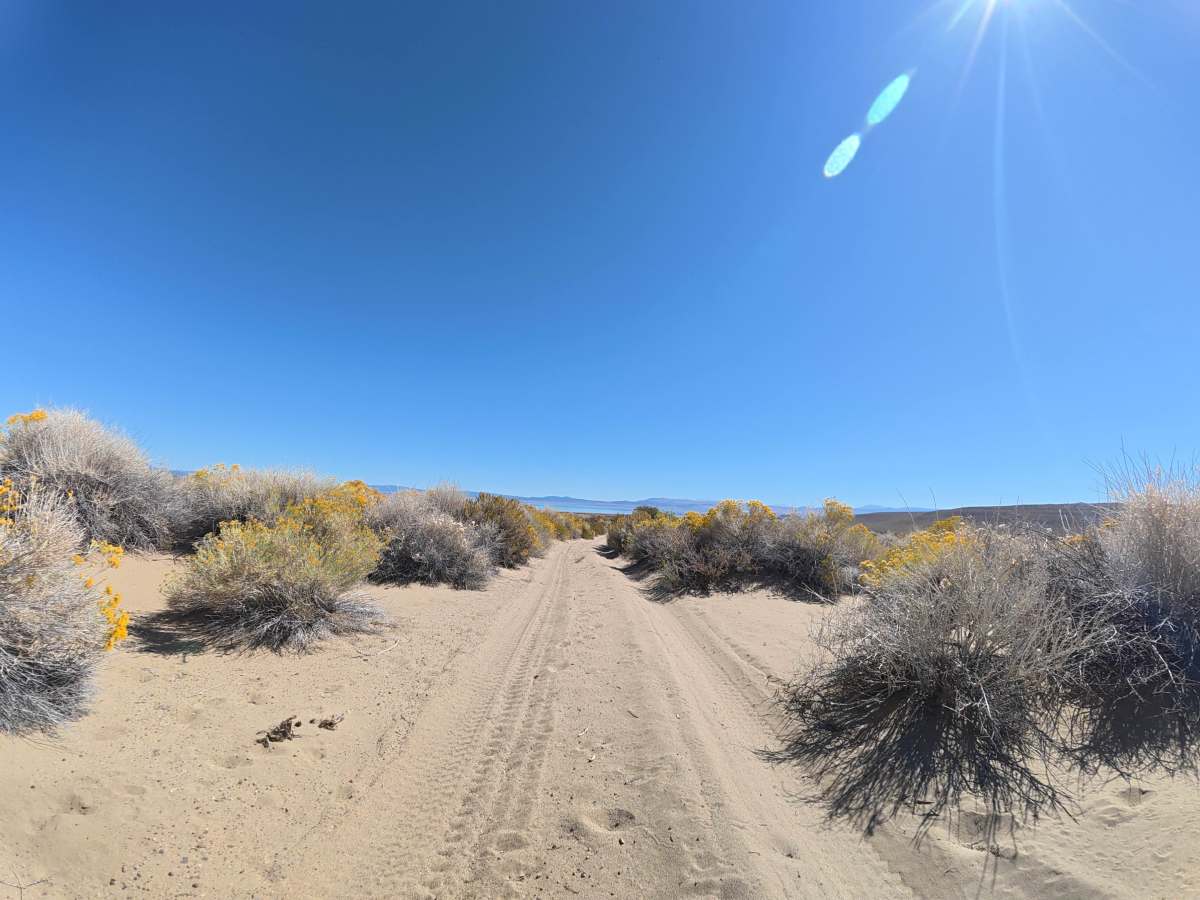 Dechambeau Pipeline photo 4