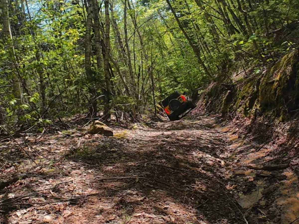 Pecks Creek Main Trail photo 4