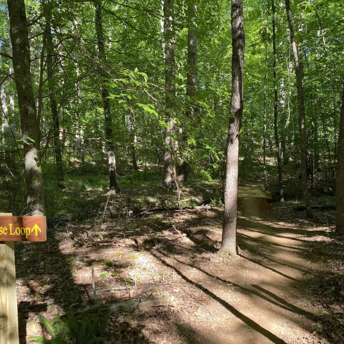 Turnoff for Springhouse Loop Near Brumley Forest Nature Preserve Loop