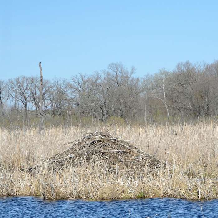 Near Hiking Club Trail