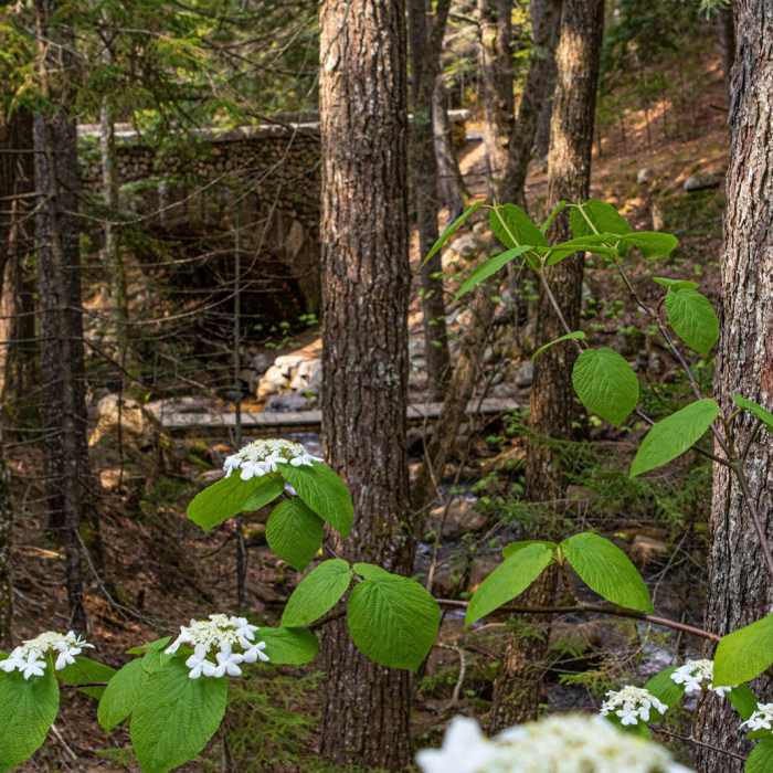 Near Cobblestone Bridge via Jordan Stream Path Near Cobblestone Bridge via Jordan Stream Path