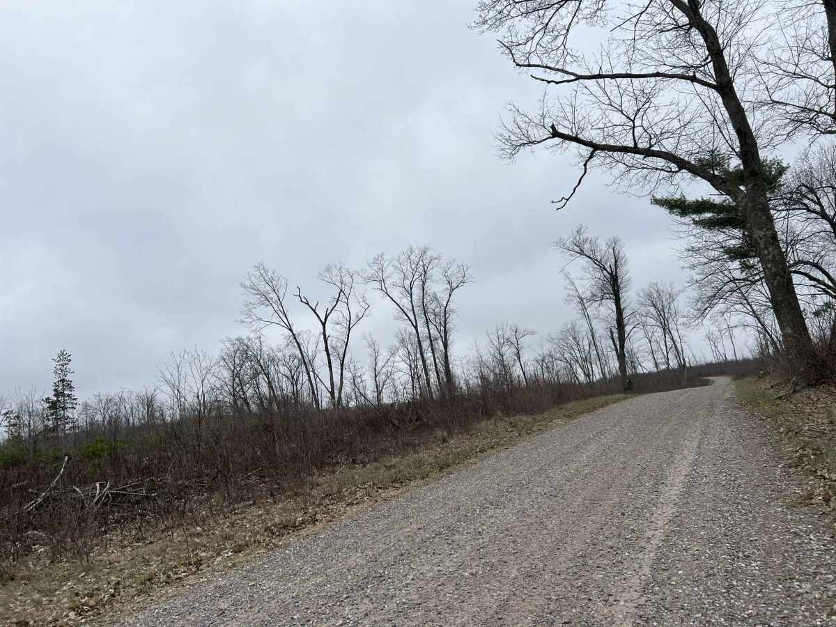 Saul Springs Road - FS 2336 photo 3