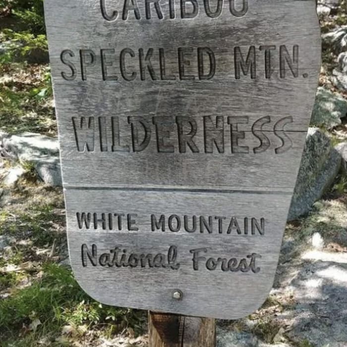 Near Caribou Mountain Loop