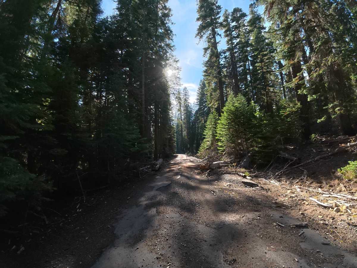 Big Rattlesnake Creek photo 5
