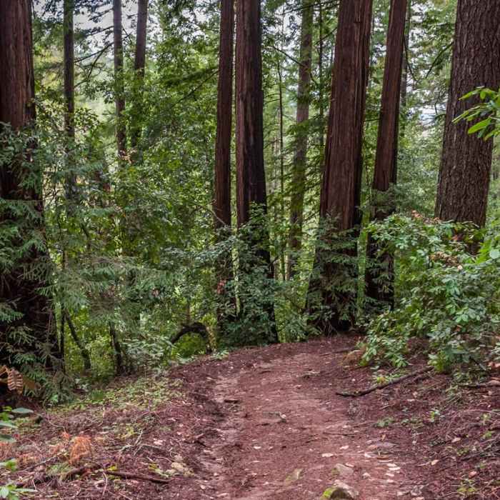 Near River Trail Hike