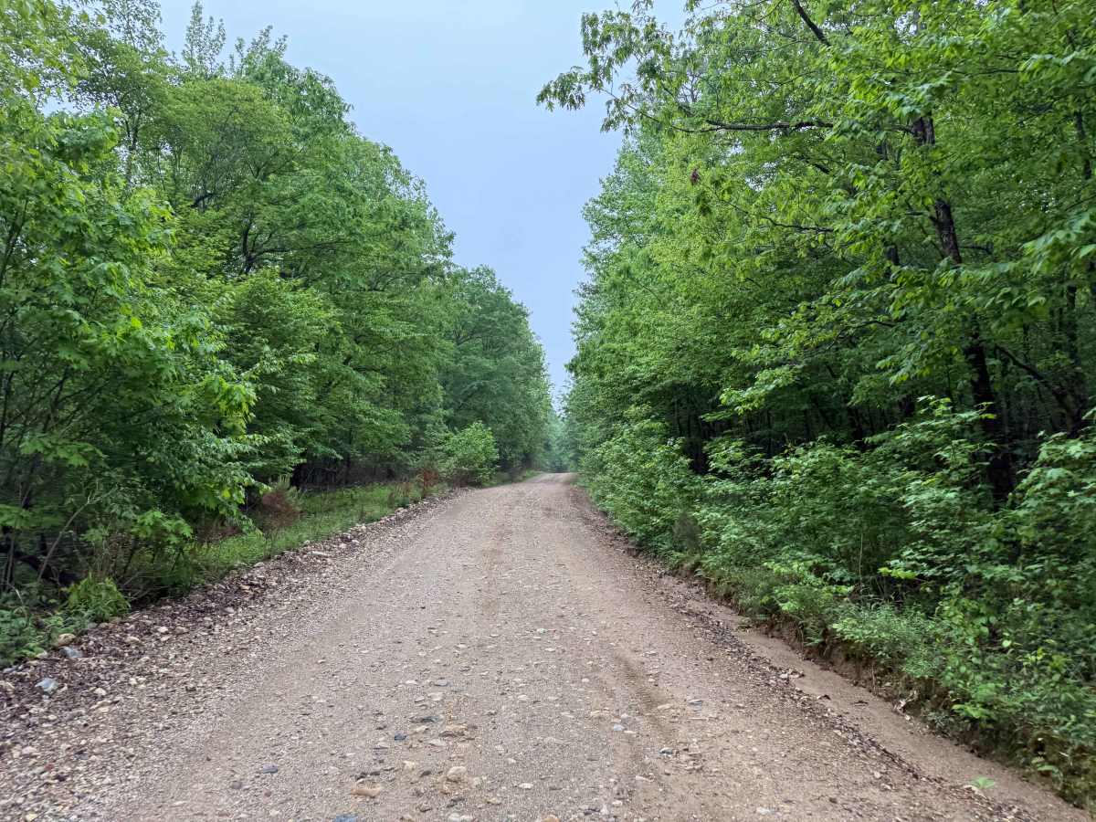 Polk County Road 601 photo 3