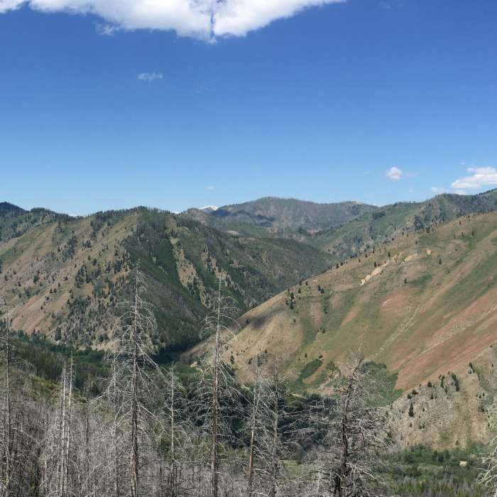 Near Warm Springs Trail