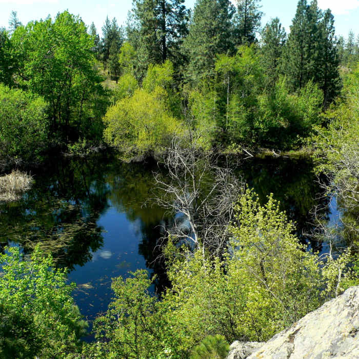 Near Best of the Dishman Hills Natural Area