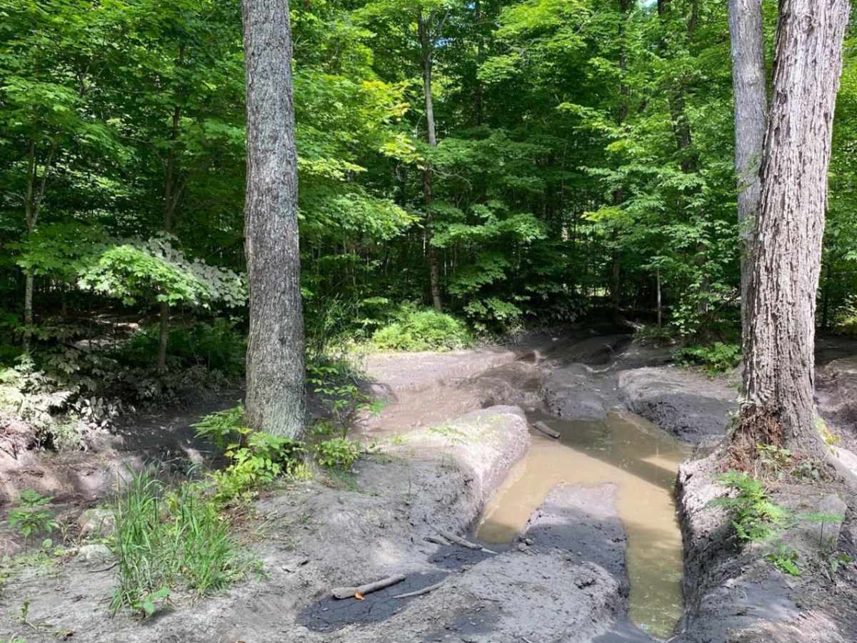 Walker Trail photo 5