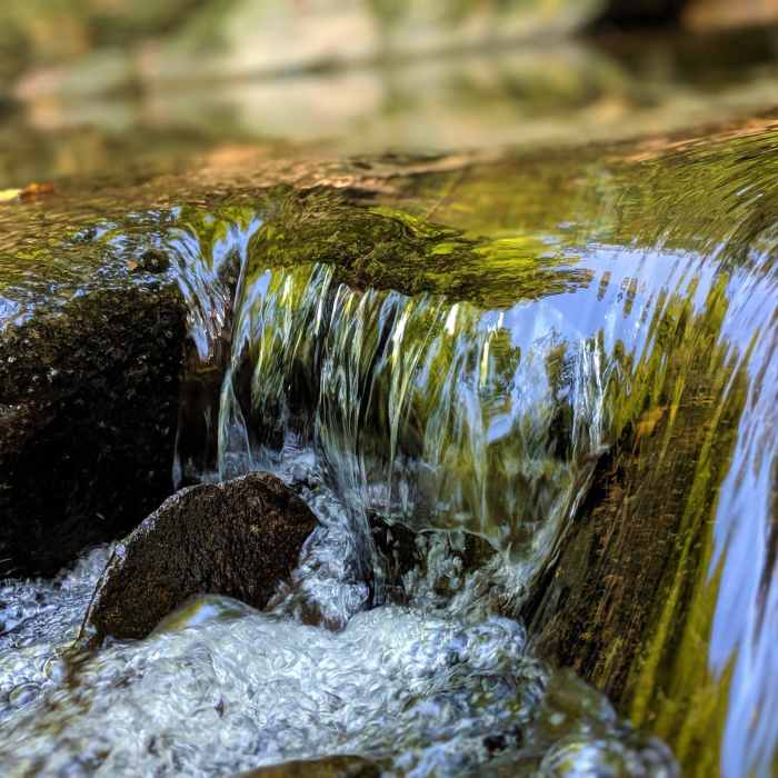 Near Sawmill Branch Trail