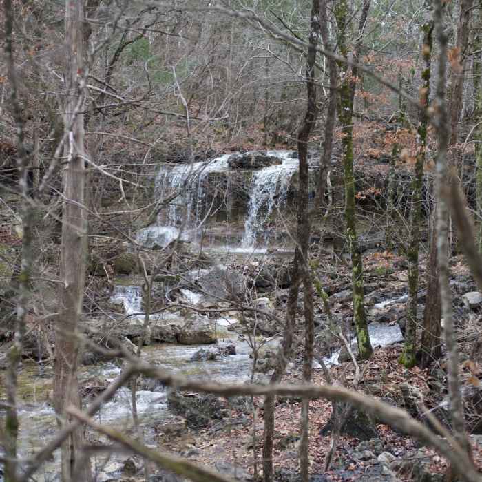 Near Henning Conservation Area Loop