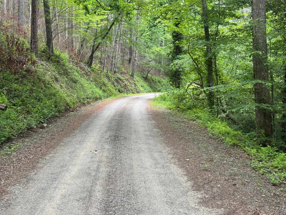 Evans Creek - FS 4621 photo 2