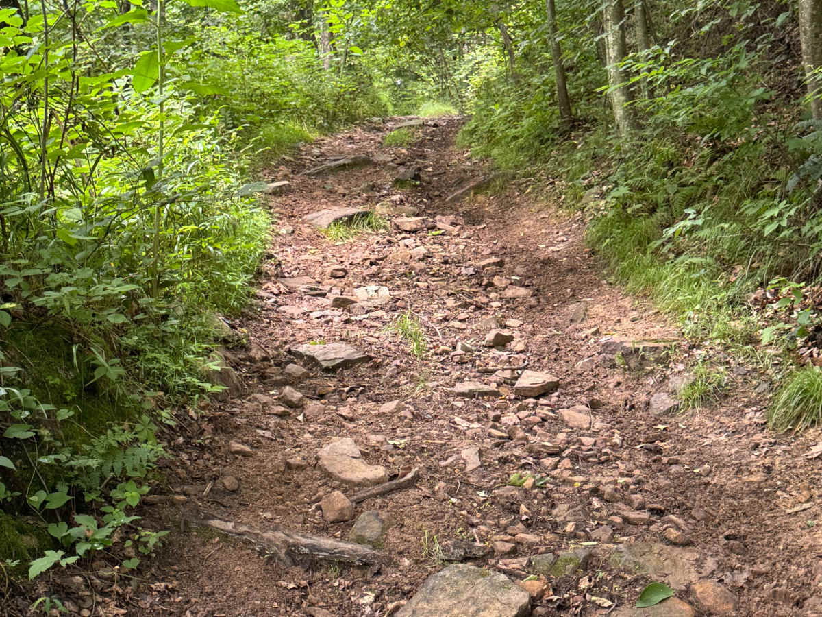 Trail 74 photo 4