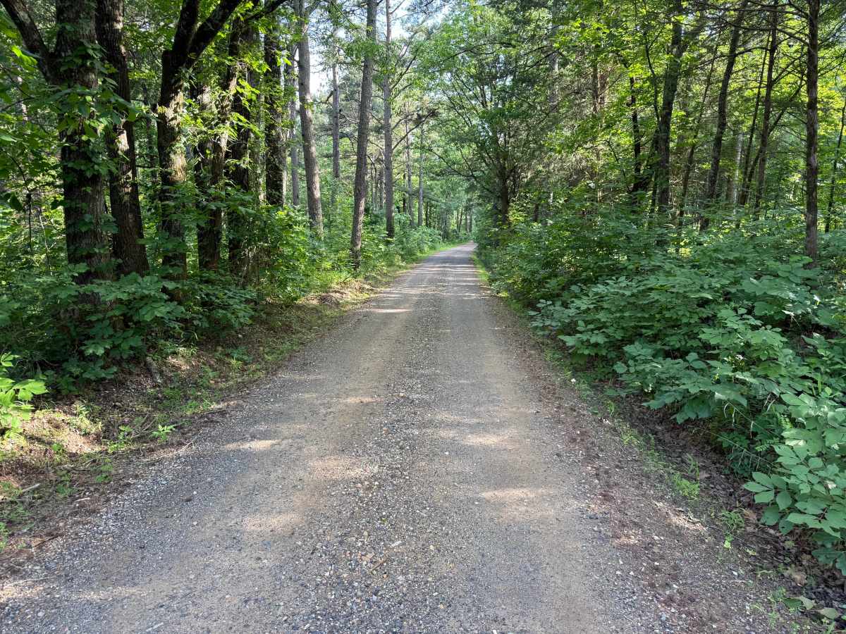Harvest Road photo 4